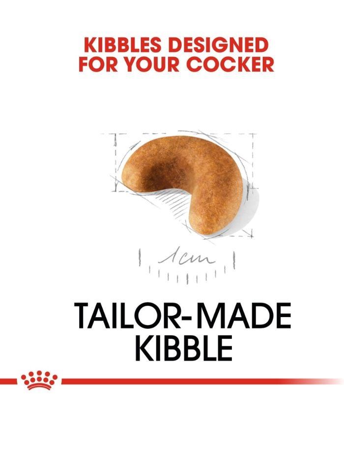 ROYAL CANIN Breed Health Nutrition Cocker Puppy 3 KG - Image 2