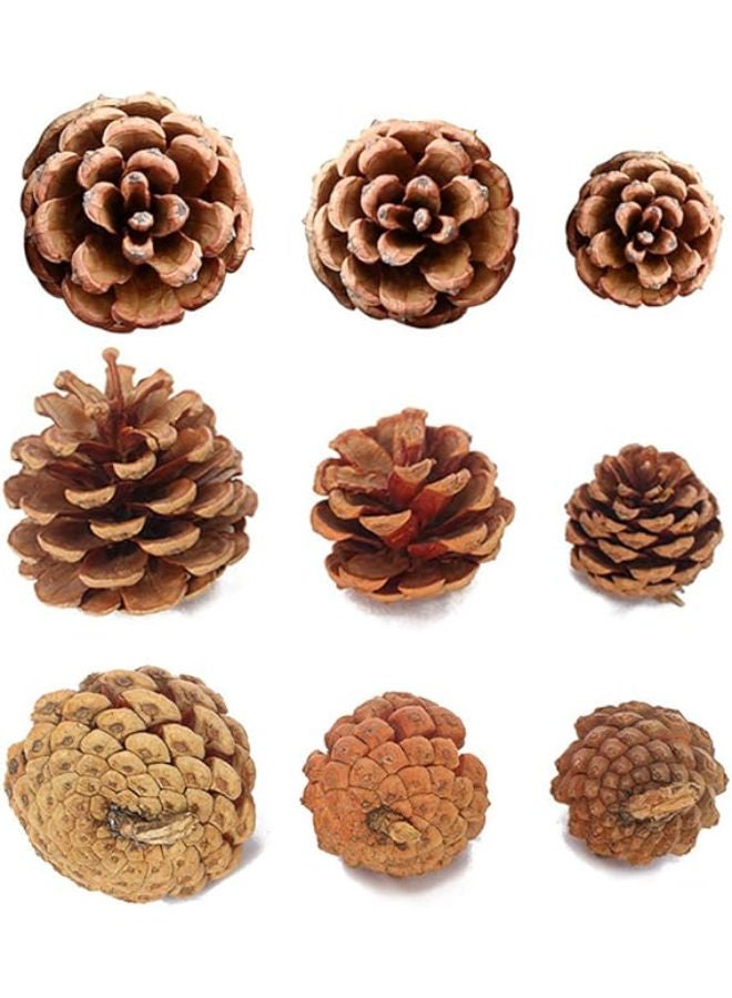 30 قطعة - زينة عيد الميلاد المصنوعة من أقماع الصنوبر المجففة الطبيعية - Image 3