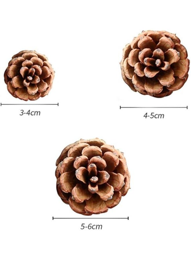 30 قطعة - زينة عيد الميلاد المصنوعة من أقماع الصنوبر المجففة الطبيعية - Image 2