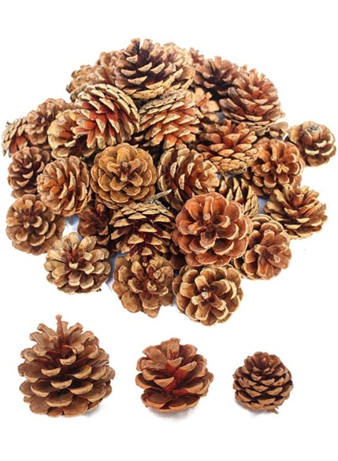 30 قطعة - زينة عيد الميلاد المصنوعة من أقماع الصنوبر المجففة الطبيعية - Image 1
