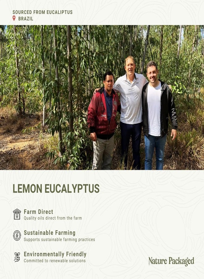 Nature Packaged Lemon Eucalyptus Oil by Eucaliptus from Brazil - Pure Lemon Eucalyptus - 100% Pure Steam Distilled Natural Aceite de Eucalipto Limón - Aromatherapy - Premium Therapeutic Grade - 15ml - Image 3