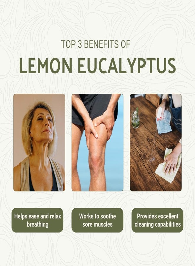 Nature Packaged Lemon Eucalyptus Oil by Eucaliptus from Brazil - Pure Lemon Eucalyptus - 100% Pure Steam Distilled Natural Aceite de Eucalipto Limón - Aromatherapy - Premium Therapeutic Grade - 15ml - Image 2