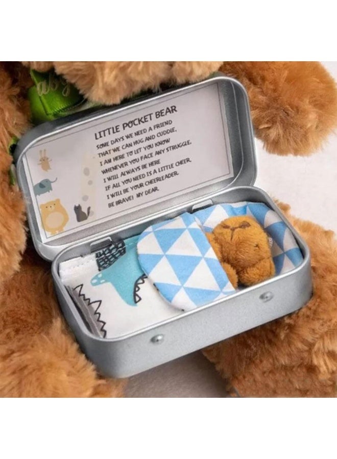 Little Pocket Bear Hug Set, Adorable Mini Plush Bears with Inspirational Card Sleeping Blanket & Iron Box for Friends Encouragement & Party Favor - Image 3