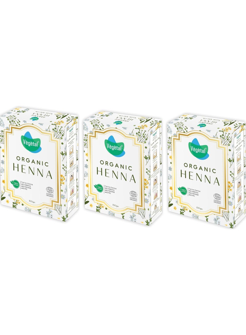 فيجيتال مسحوق الحناء العضوي والأعشاب المعتمد لتلوين الشعر بشكل طبيعي ومنع الشيب المبكر وحماية الشعر من التلف الناتج عن صبغ الشعر الكيميائي 100 جرام من 3 عبوات