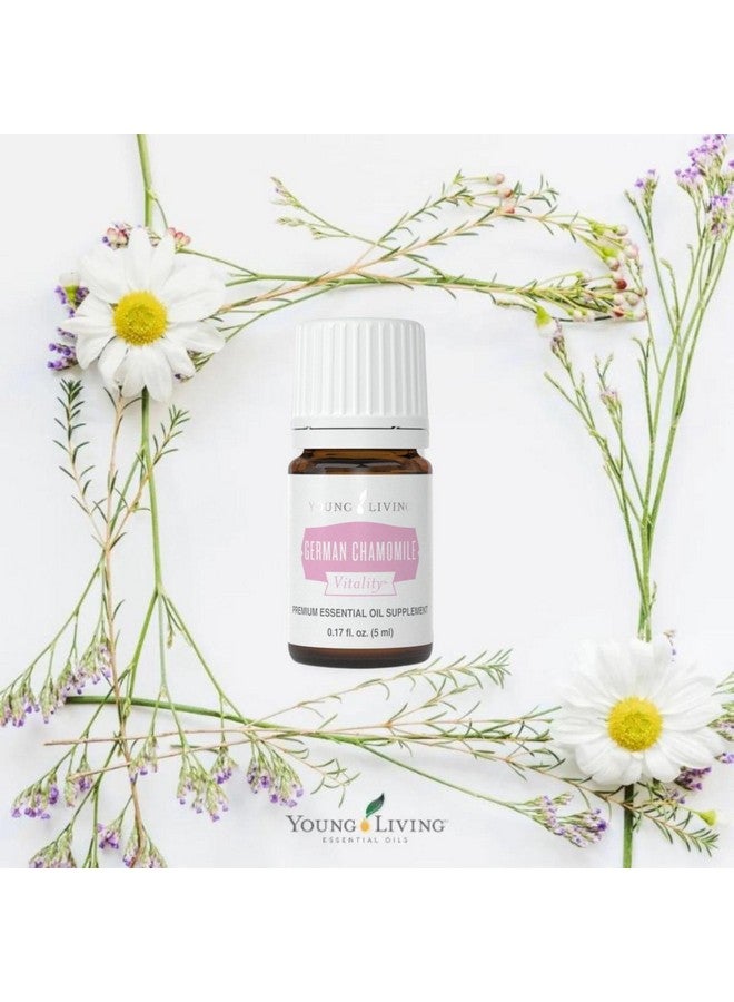 Young Living - German Chamomile Vitality 5 ml | Antioxidant & Natural Calmness Support | Dietary Supplement | Calming Aromatherapy | Ancient Herbal Remedy for Relaxation - Image 3