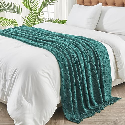 inhand Knitted Throw Blankets for Couch and Bed, Soft Cozy Knit Blanket with Tassel, Blue Lightweight Decorative Blankets and Throws, Farmhouse Warm Woven Blanket for Men and Women, 60"x80" - Image 3