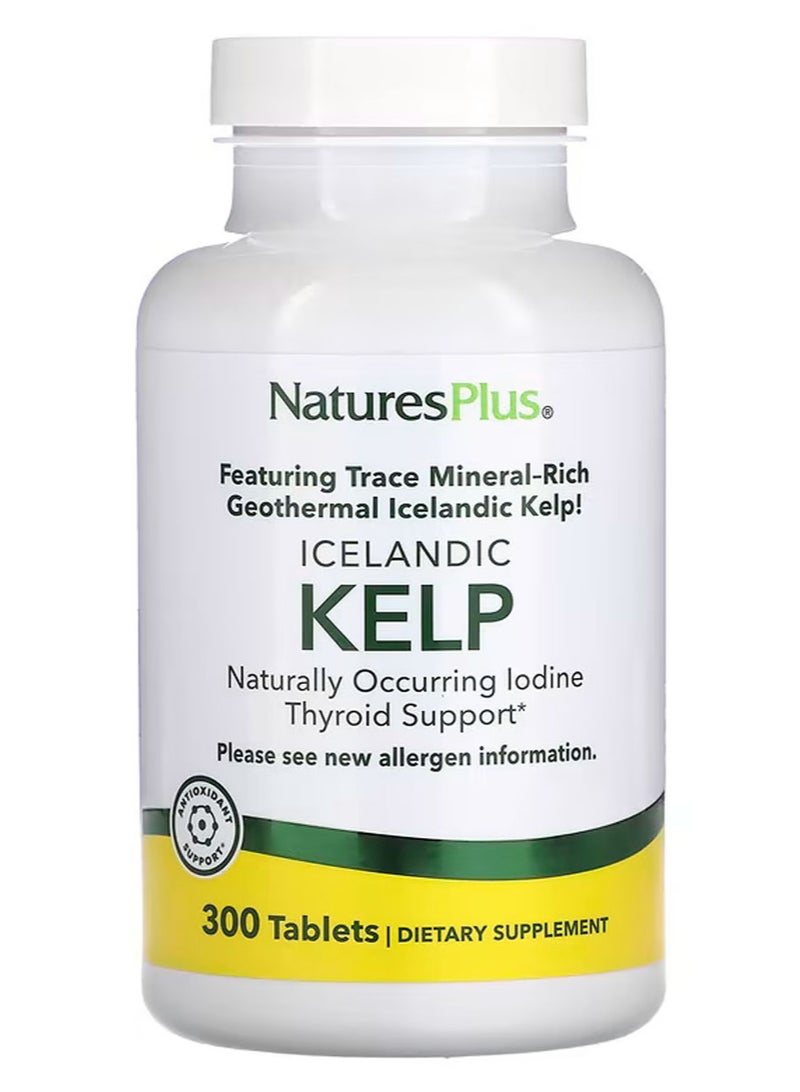 NaturesPlus Icelandic Kelp, 300 Tablets (150 mg per Tablet) - Image 1