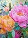 Cross & Glory Cross Glory Jigsaw Puzzles for Adults 1000 Pieces Golden Peony Dreams Mosaic Flower Puzzle for Adults 1000 Pieces Satin Finish Adult Puzzles Ages 14 - Image 2