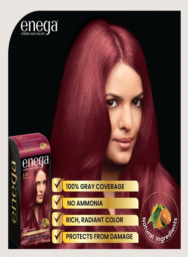 ENEGA Burgundy Cream Hair Color 120 ML - Pack of 2, Extracted with Argan Oil and Green Tea - Image 2