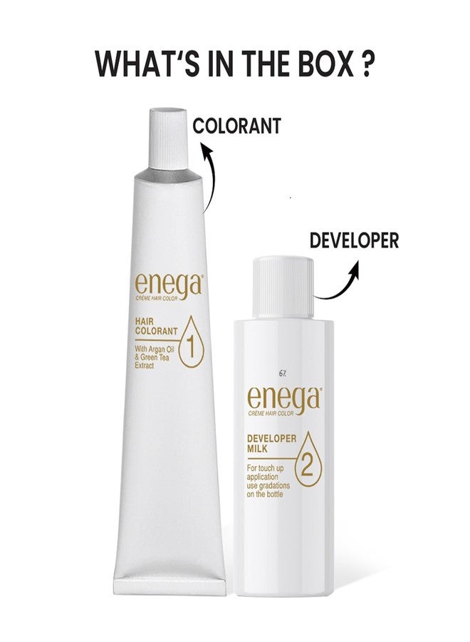 ENEGA Burgundy Cream Hair Color 120 ML - Pack of 2, Extracted with Argan Oil and Green Tea - Image 3