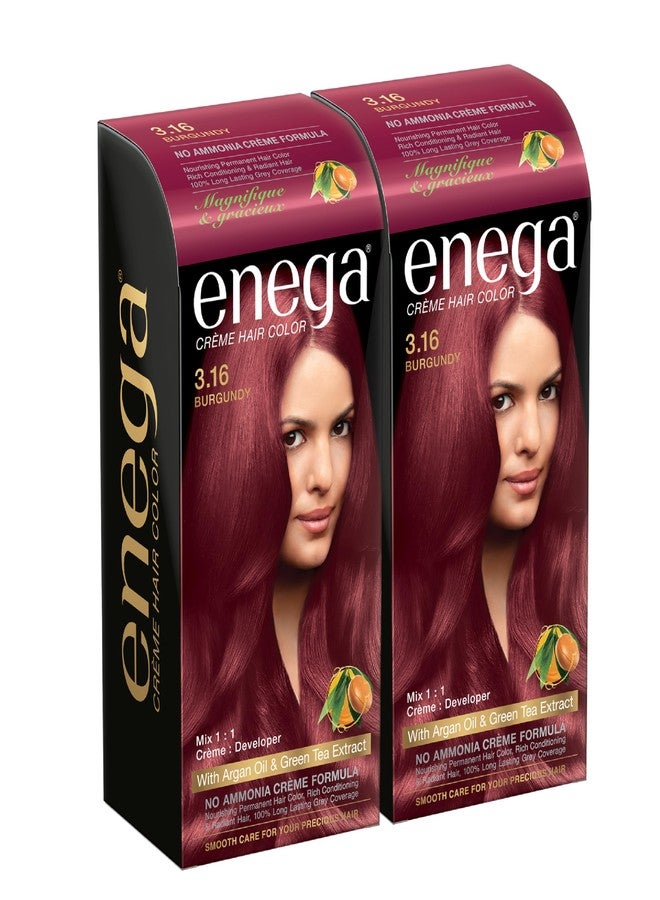 ENEGA Burgundy Cream Hair Color 120 ML - Pack of 2, Extracted with Argan Oil and Green Tea - Image 1