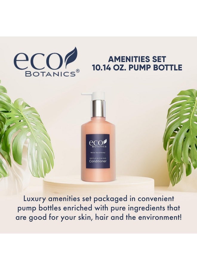 تيرا بيور | بلسم Eco Botanics، حجم التجزئة لمرافق الفنادق، 10.14 أونصة (فردي)  - Image 2