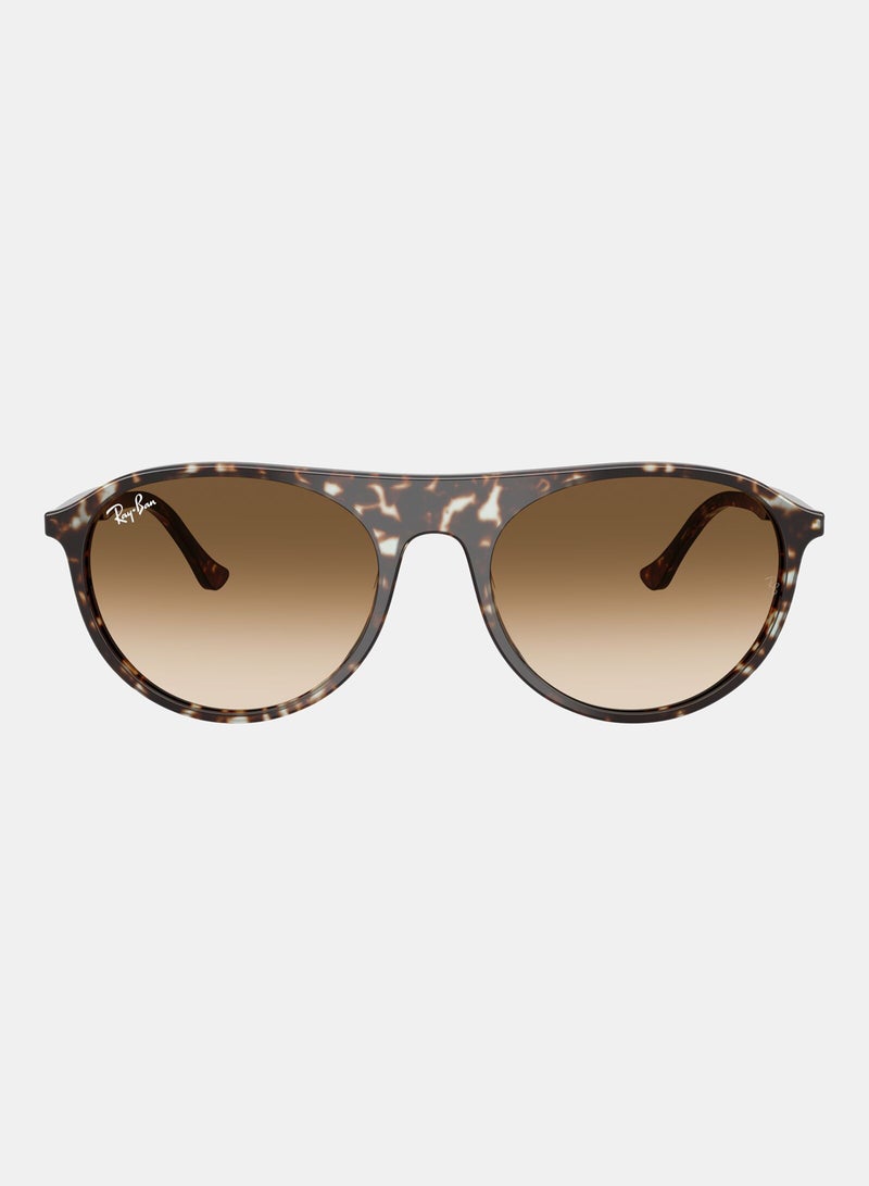 راي بان Men Full Rimmed Aviator Sunglasses 0RB2215 - Image 1