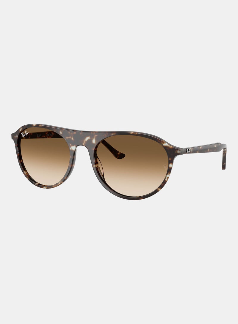 راي بان Men Full Rimmed Aviator Sunglasses 0RB2215 - Image 2