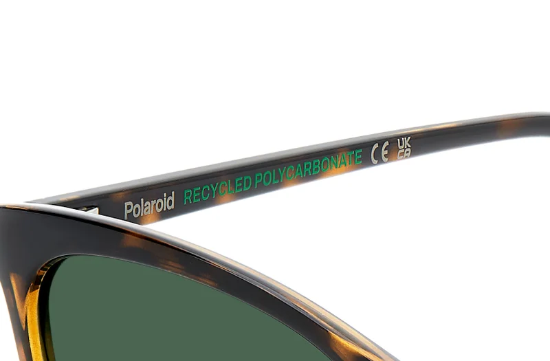 Polaroid Cat Eye Sunglasses Frames