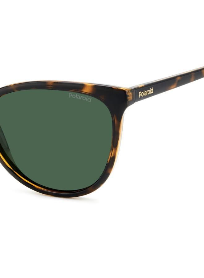 بولارويد إطارات نظارات عين القطة - Image 5