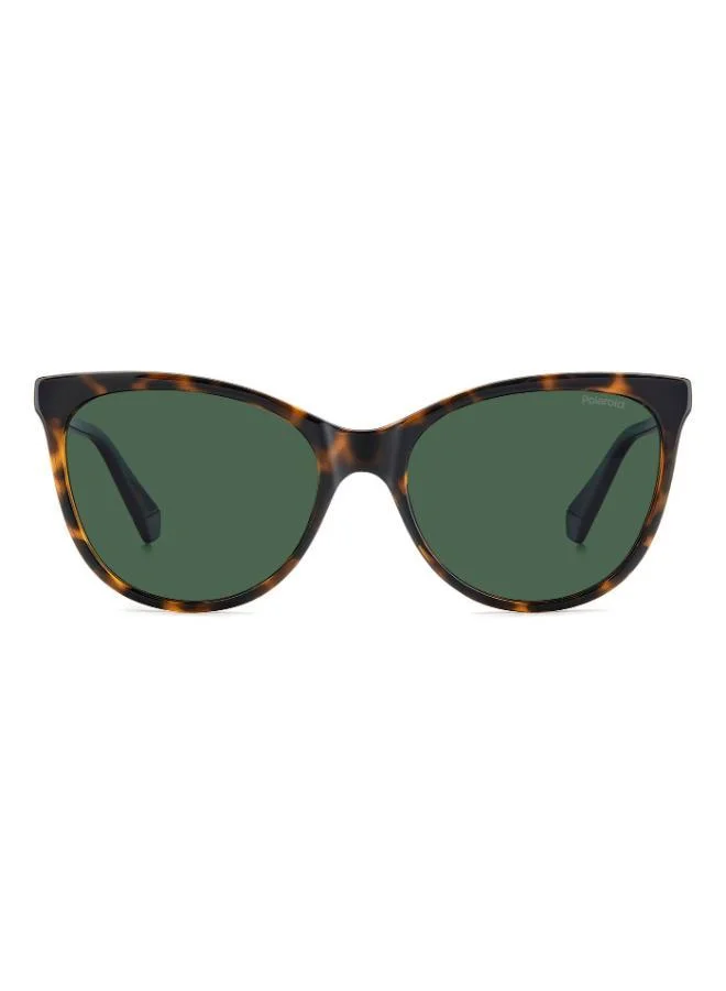 Polaroid Cat Eye Sunglasses Frames