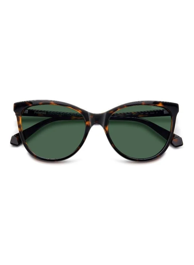 Polaroid Cat Eye Sunglasses Frames