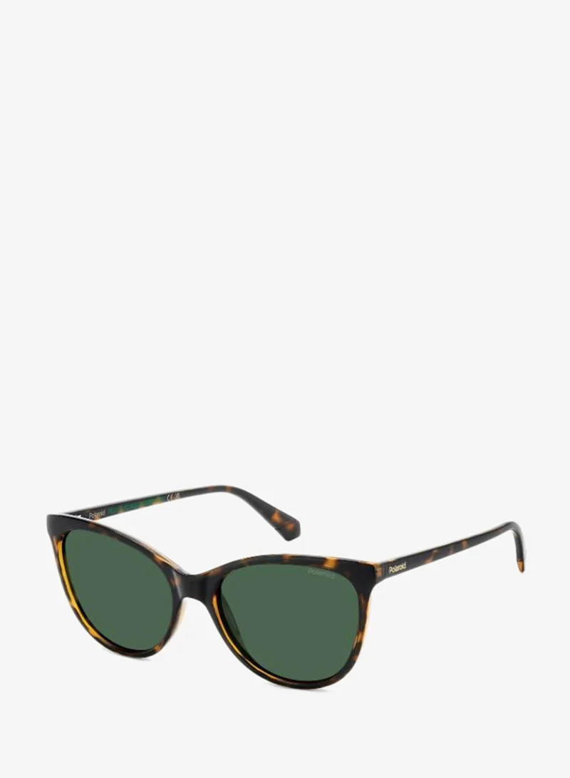 Polaroid Cat Eye Sunglasses Frames