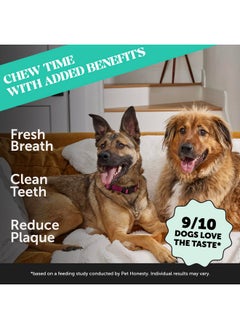 Pet Honesty Pet Honesty Dental Health Fresh Sticks - Oral Hygiene Dental Sticks for Dogs - Dental Dog Chews - Freshen Dog Breath, Reduce Plaque + Tartar - 16 Sticks  - Image 2