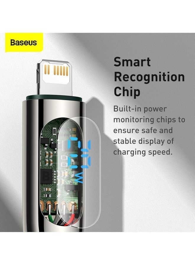 نيبمينينت كابل USB C إلى لايتنينج بقدرة 20 وات مزود بشاشة LED متوافق مع آيفون 13 و13 برو و12برو ماكس و12 و11 وX وXS وXR و8 بلس وآيربودز كما يدعم توصيل الطاقة بطول 1 متر أخضر - Image 3