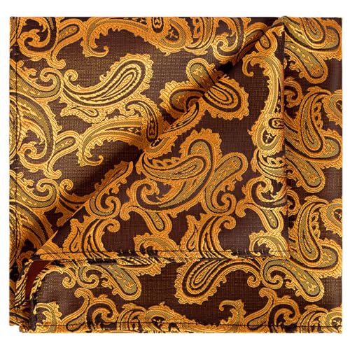 KissTies 5 PCS Rust Pocket Square Burnt Orange Paisley Festive Hankies Bundle - Image 2