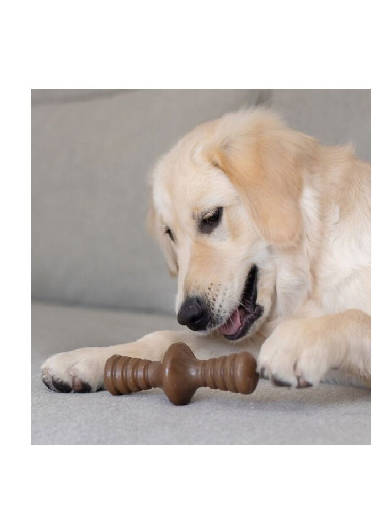 Benebone Zaggler Dog Chew Playing Toy Peanut Brown Small - Image 3