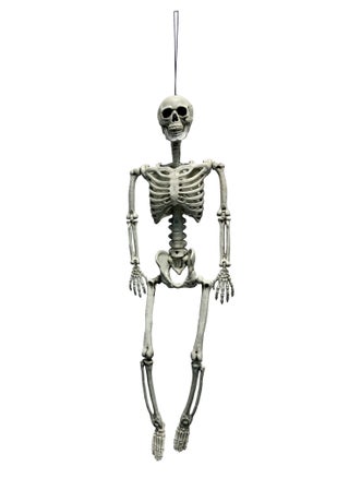 Poseable Skeleton - pzsku/ZDCF42707D02FEDC988A5Z/45/1746509331/4ca77f0f-923c-4ba7-a6cd-db01b7ddec8d