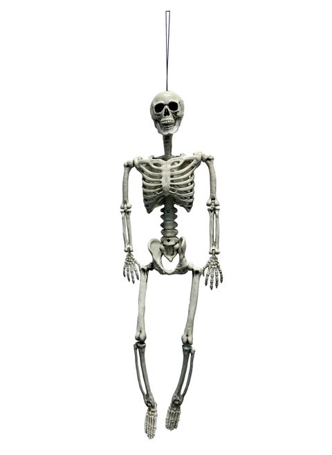 Poseable Skeleton