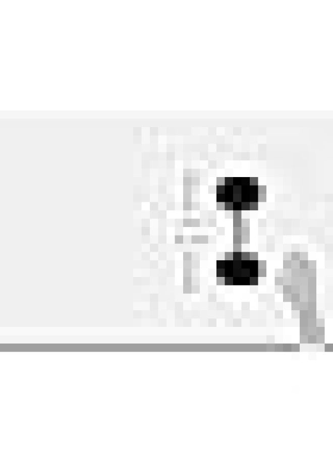 دمبل هكسagonal مطاطي بوزن 25 رطل من TA Sport DB6101 مع شعار - Image 2