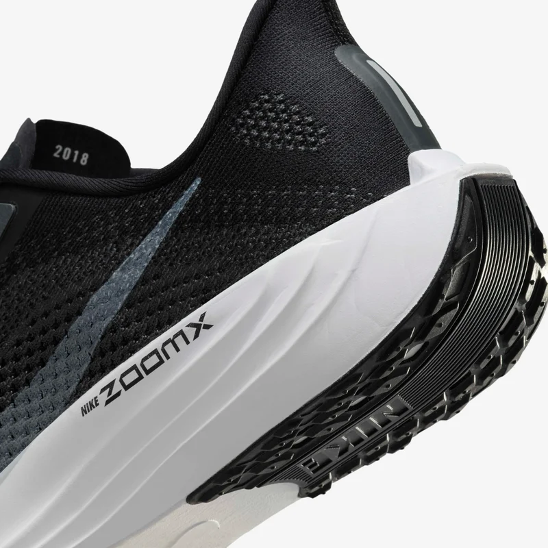 Nike Black Men's Pegasus Plus Road Running Shoes for Men | Best Price UAE
