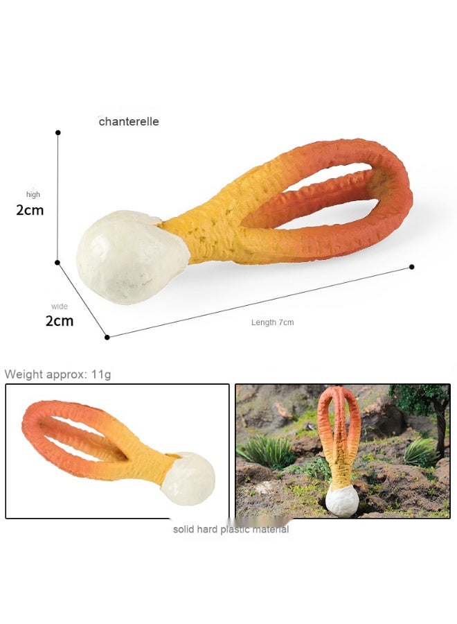 نيبمينينت نموذج فطر زائف - ضروري لوسائل التعليم المبكر وتصوير المشاهد