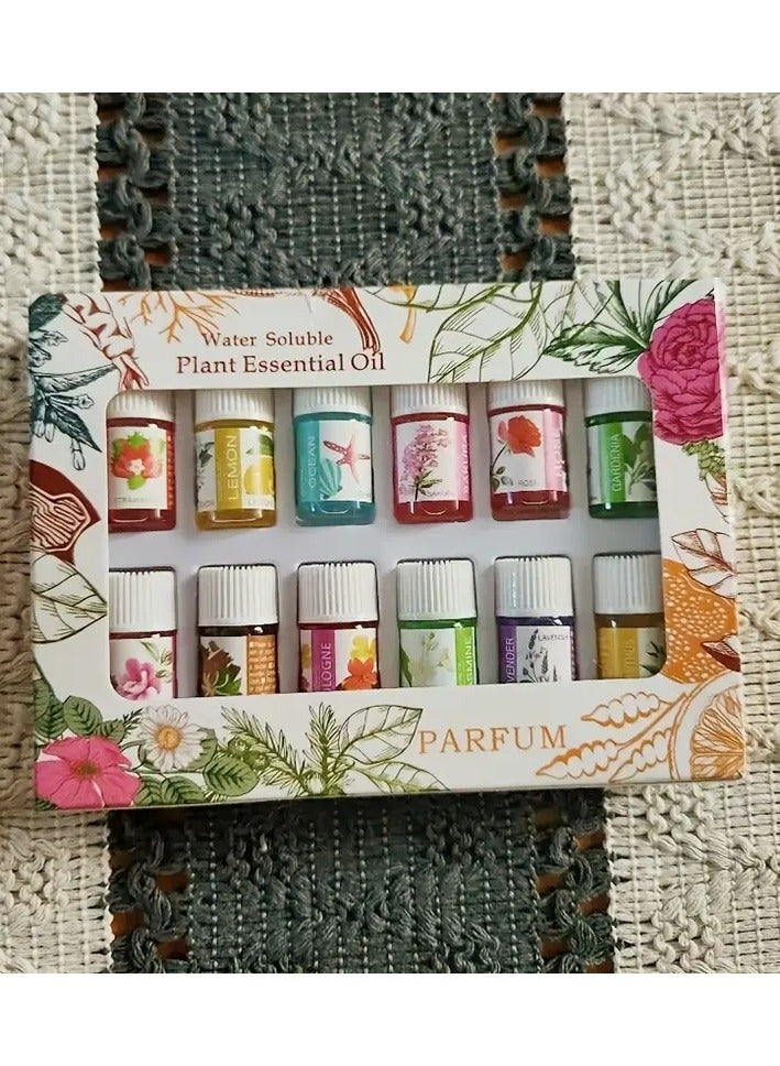 علبة (12 زجاجة) من الزيوت العطرية القابلة للذوبان في الماء – روائح علاجية لأجهزة الترطيب والسيارة والاستخدام الداخلي - Image 4