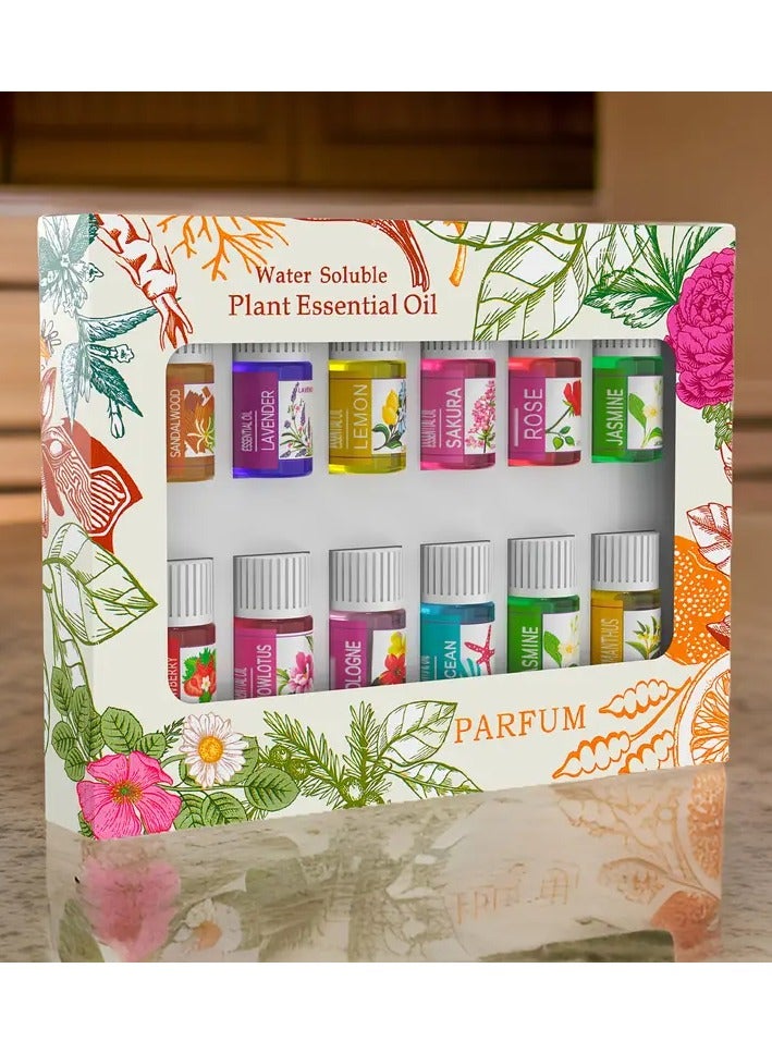 علبة (12 زجاجة) من الزيوت العطرية القابلة للذوبان في الماء – روائح علاجية لأجهزة الترطيب والسيارة والاستخدام الداخلي - Image 1