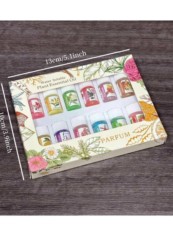 علبة (12 زجاجة) من الزيوت العطرية القابلة للذوبان في الماء – روائح علاجية لأجهزة الترطيب والسيارة والاستخدام الداخلي - Image 3