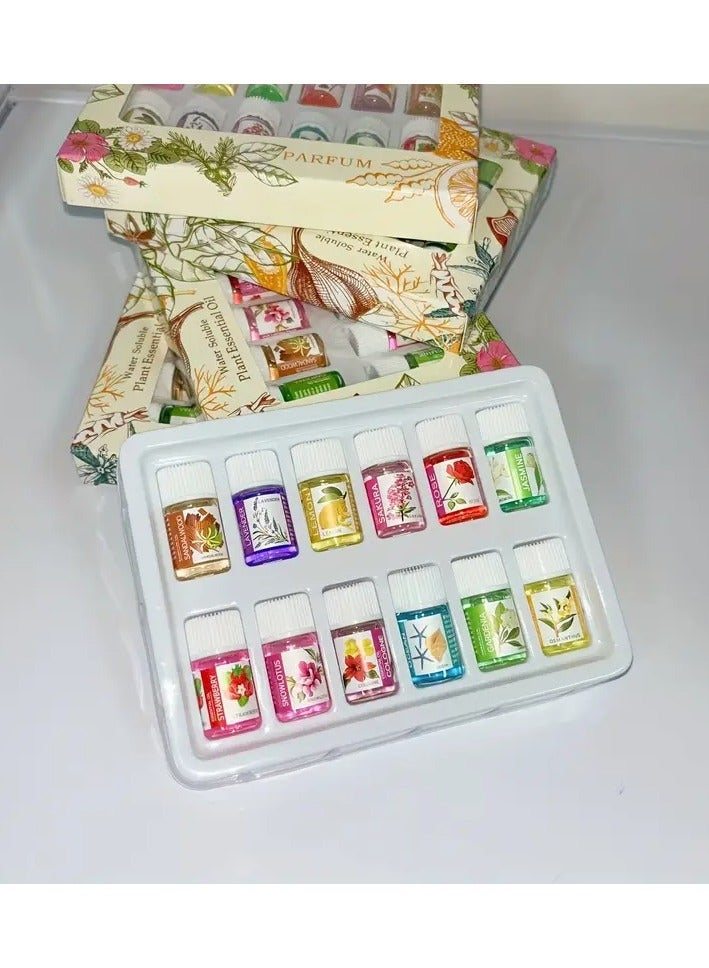 علبة (12 زجاجة) من الزيوت العطرية القابلة للذوبان في الماء – روائح علاجية لأجهزة الترطيب والسيارة والاستخدام الداخلي - Image 2