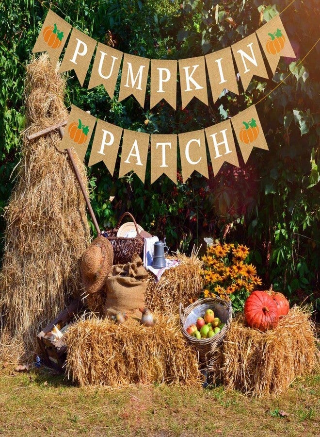 Rainlemon Jute Burlap Pumpkin Patch Banner Fall Autumn Theme Little Pumkin Birthday Party Garland Decoration - Image 3