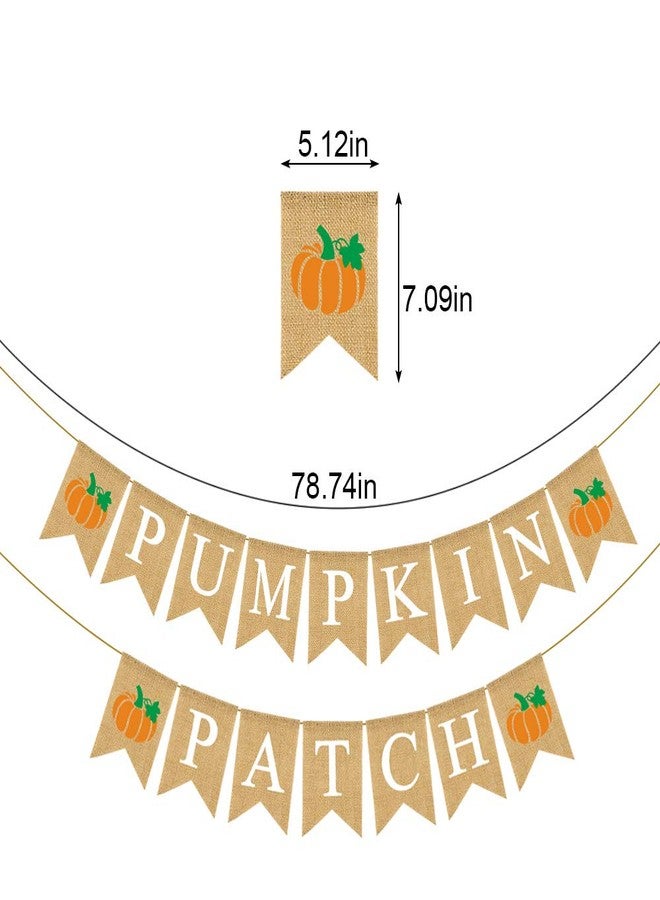 Rainlemon Jute Burlap Pumpkin Patch Banner Fall Autumn Theme Little Pumkin Birthday Party Garland Decoration - Image 4