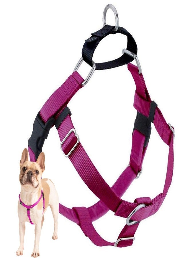 2 Hounds Design Freedom No Pull Dog Harness, Adjustable Harness, Easy Walking & Comfortable Control, Fits Small, Medium & Large Dogs, Solid Colors, Made in USA, 5/8" SM, Raspberry - Image 1