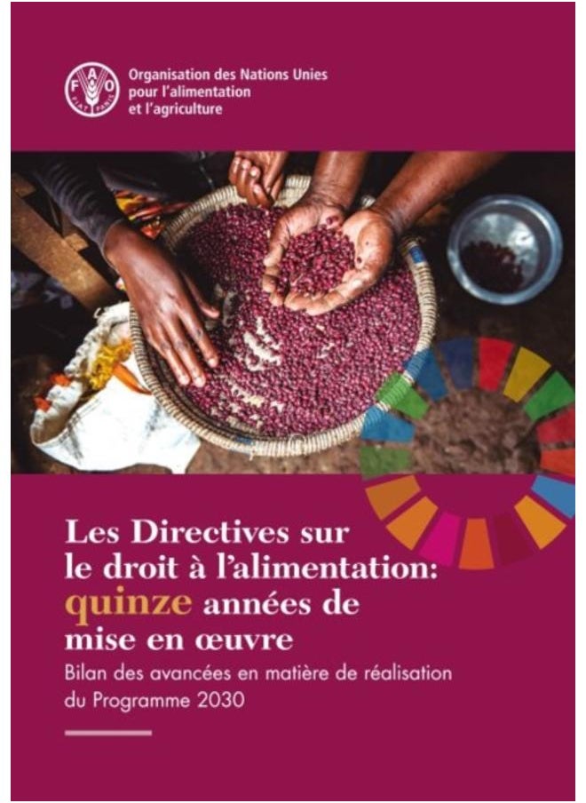 Les Directives sur le droit a l'alimentation: quinze annees de mise en ouvre : Bilan des avancees en matiere de realisation du Programme 2030 