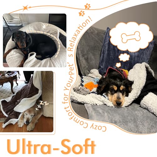 Kritter Planet Dog Blankets for Large Dogs, Soft Fluffy Fleece Pet Blankets for Couch, Sofa, Dog Beds, Car Seats, Creat, Washable, 50x60 inches, Beige - Image 2