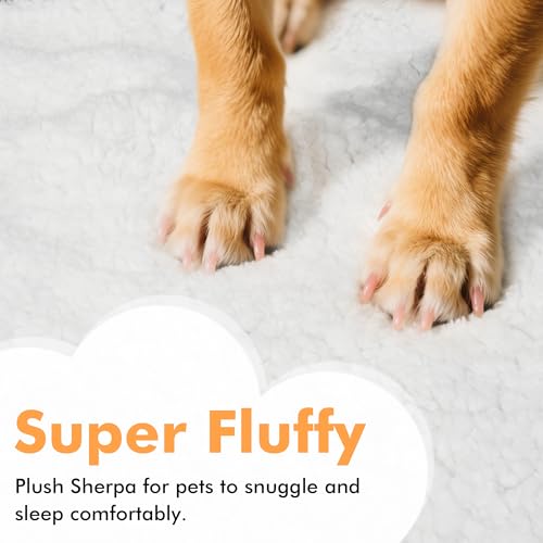 Kritter Planet Dog Blankets for Large Dogs, Soft Fluffy Fleece Pet Blankets for Couch, Sofa, Dog Beds, Car Seats, Creat, Washable, 50x60 inches, Beige - Image 3
