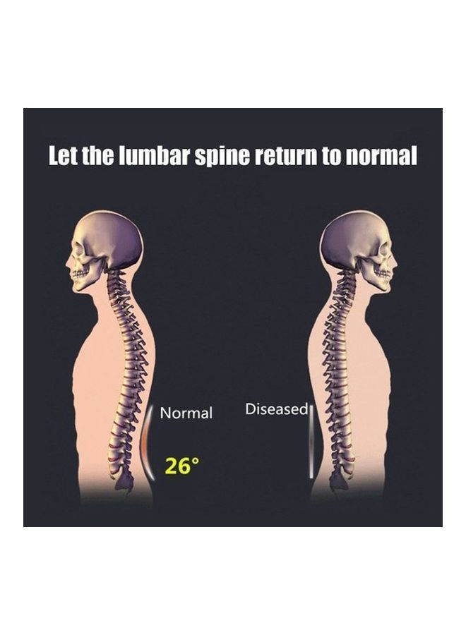 NIBEMINENT Lumbar Back Massager - Image 2