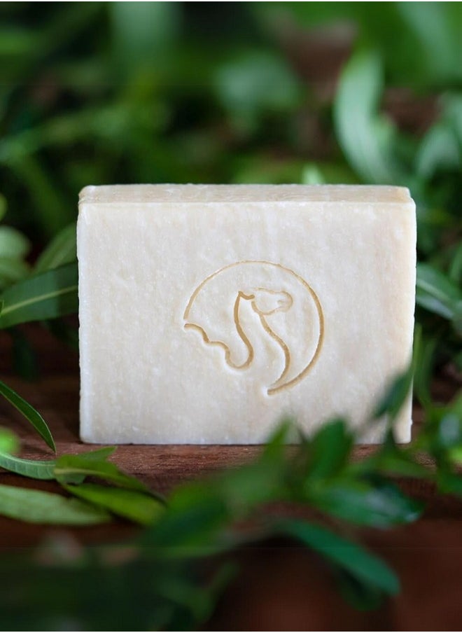 The Camel Soap Factory صابون قشتالة بالروزماري وشجرة الشاي 95 جرام  - Image 5