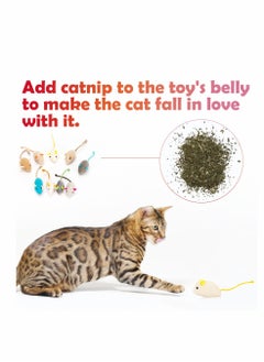 KASTWAVE Catnip Toys for Cat, 9 Pcs Interactive Cat Toy Pet Teeth Cleaning Soft Plush Realistic Cute Mouse Colorful Chew Toys with String Tails Indoor Cats Play Bite, Random style  - Image 2