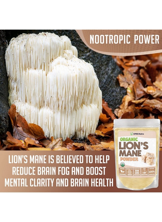 XPRS Nutra مسحوق عرف الأسد العضوي مسحوق عرف الأسد الممتاز لوضوح العقل والإدراك والمناعة صديق للنباتيين فطر عرف الأسد (8 أونصة) - Image 5