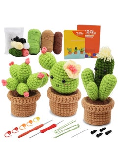 3 Piece Cactus