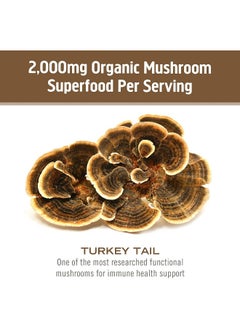 Om Mushroom Superfood Turkey Tail Mushroom Superfood 90VCAPS - pzsku/ZDCFC9559F693D26B3ACDZ/45/_/1741000279/a5912803-b9a3-4101-a2c7-d3bb4566622b