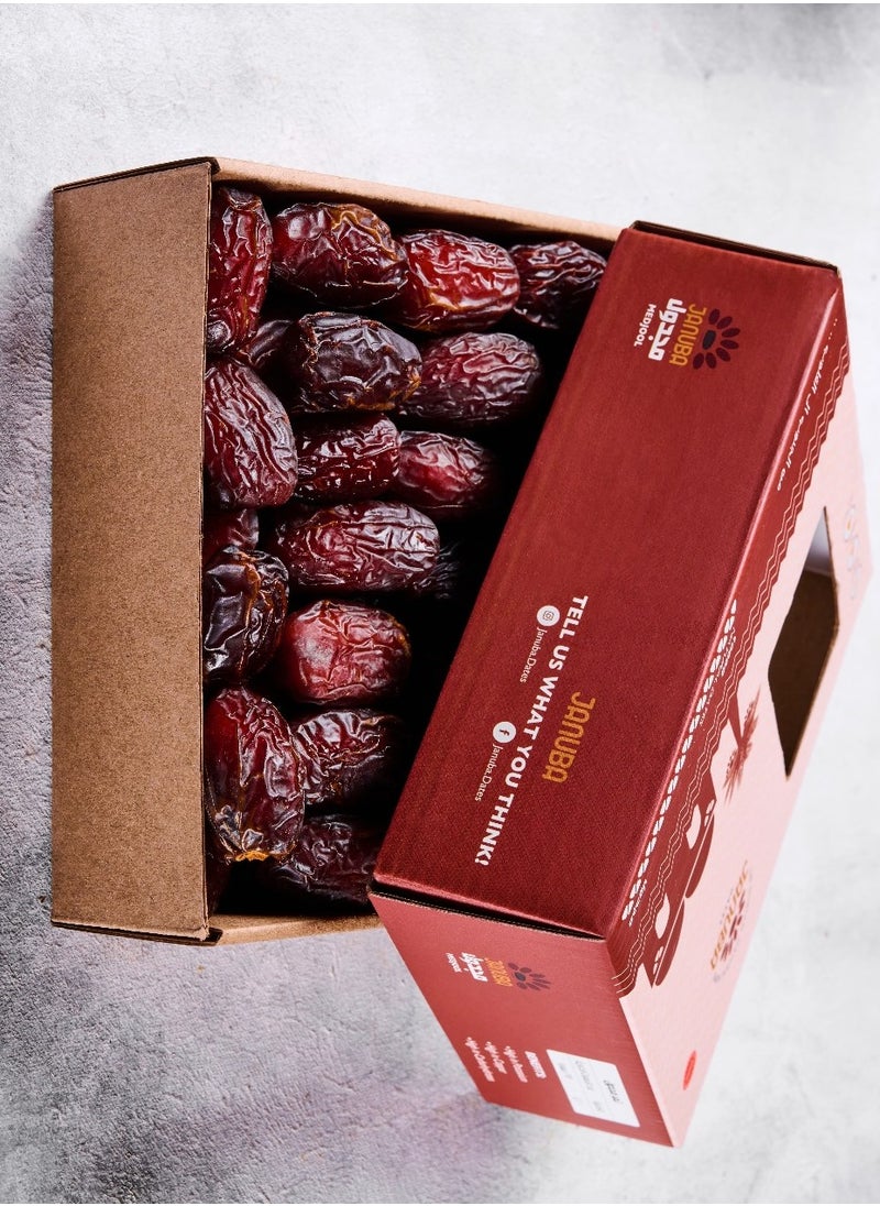 JANUBA Januba Medjool Dates Premium (1000 gm) Jumbo  - Image 2