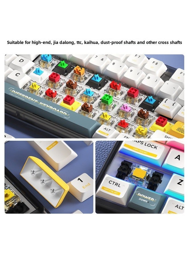 Silver Tough Original Seagrass Key Cap PBT Transparent Original High Positive Engraving Side Engraving Thermal Sublimation Gradient Color Personalized Key Cap-Color:Gradient Frost Leaf Engraved Translucent (adapted To 61/87/104/108 Keyboard) - Image 3